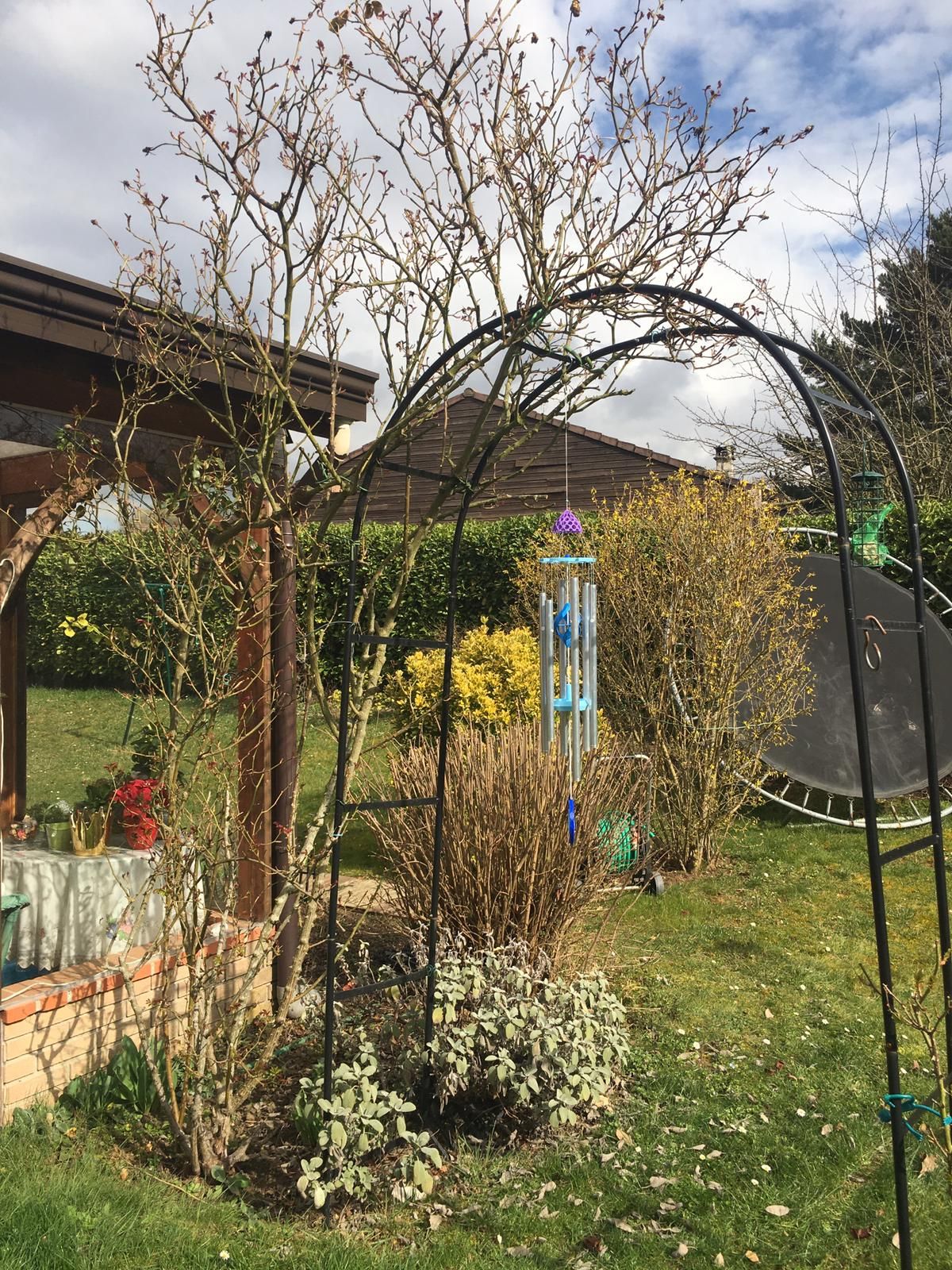 Carillon Flora Aquatique